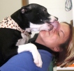 Bully for Erie County!